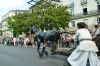 Filename=DSC_1575.jpg
Filesize=122KB
Dimensions=700x464
Date added=Jun 13, 2011 DSC_1575.jpg