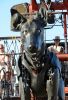Filename=DSC_1727.jpg
Filesize=105KB
Dimensions=482x700
Date added=Jun 13, 2011 DSC_1727.jpg
