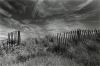 Filename=clotures-3sur5.jpg
Filesize=62KB
Dimensions=600x400
Date added=Jan 30, 2007 clotures-3sur5.jpg